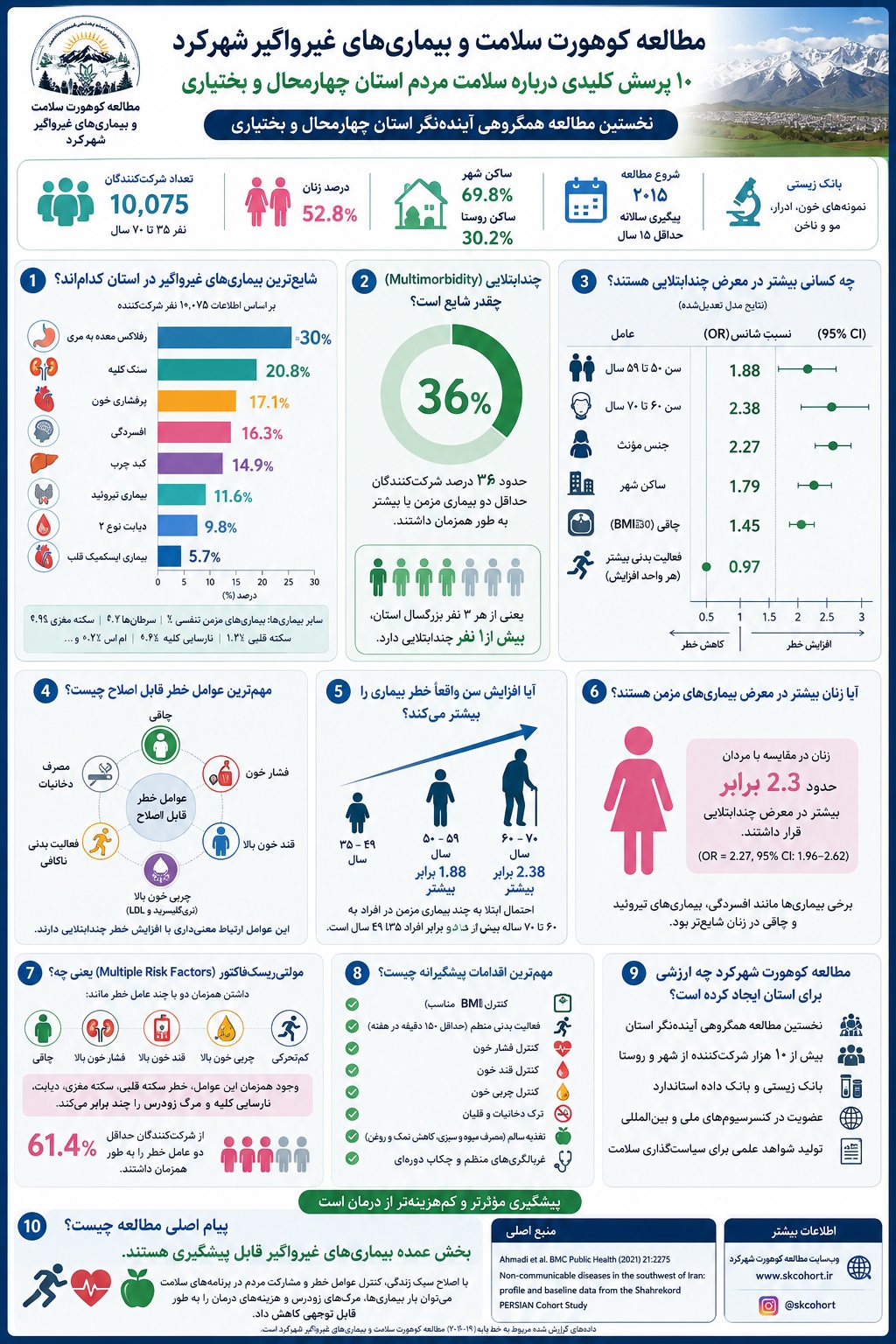 مولتی موربیدیتی